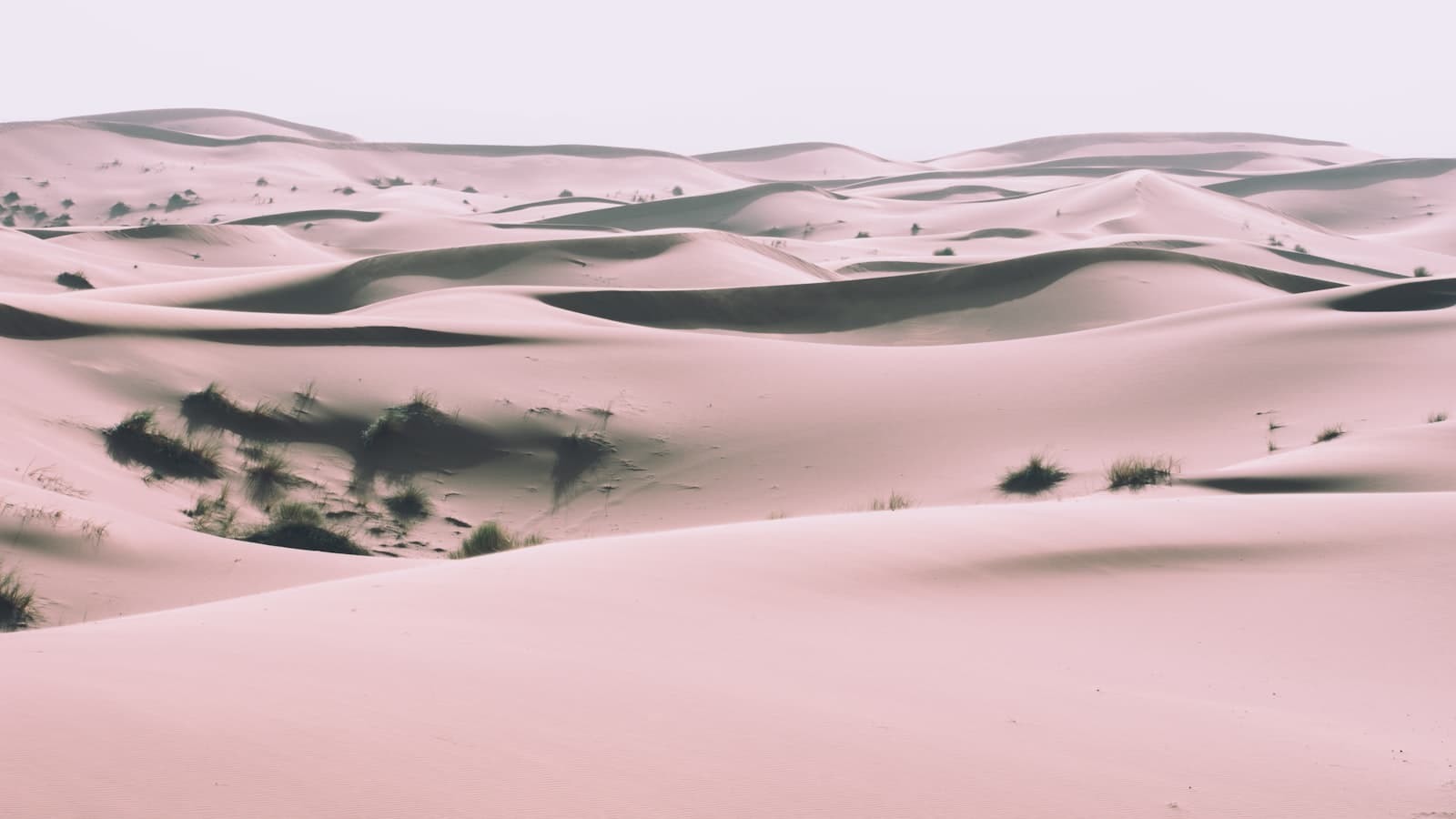 Sandy desert landscape near Aousserd in southern Morocco under a clear sky