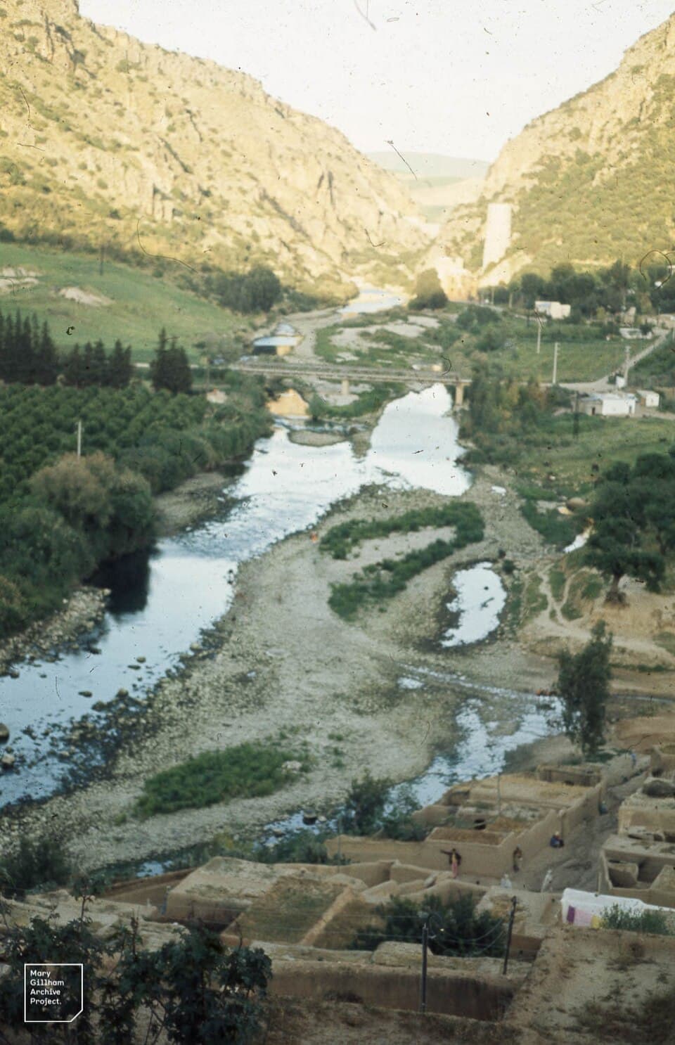 القنصرة