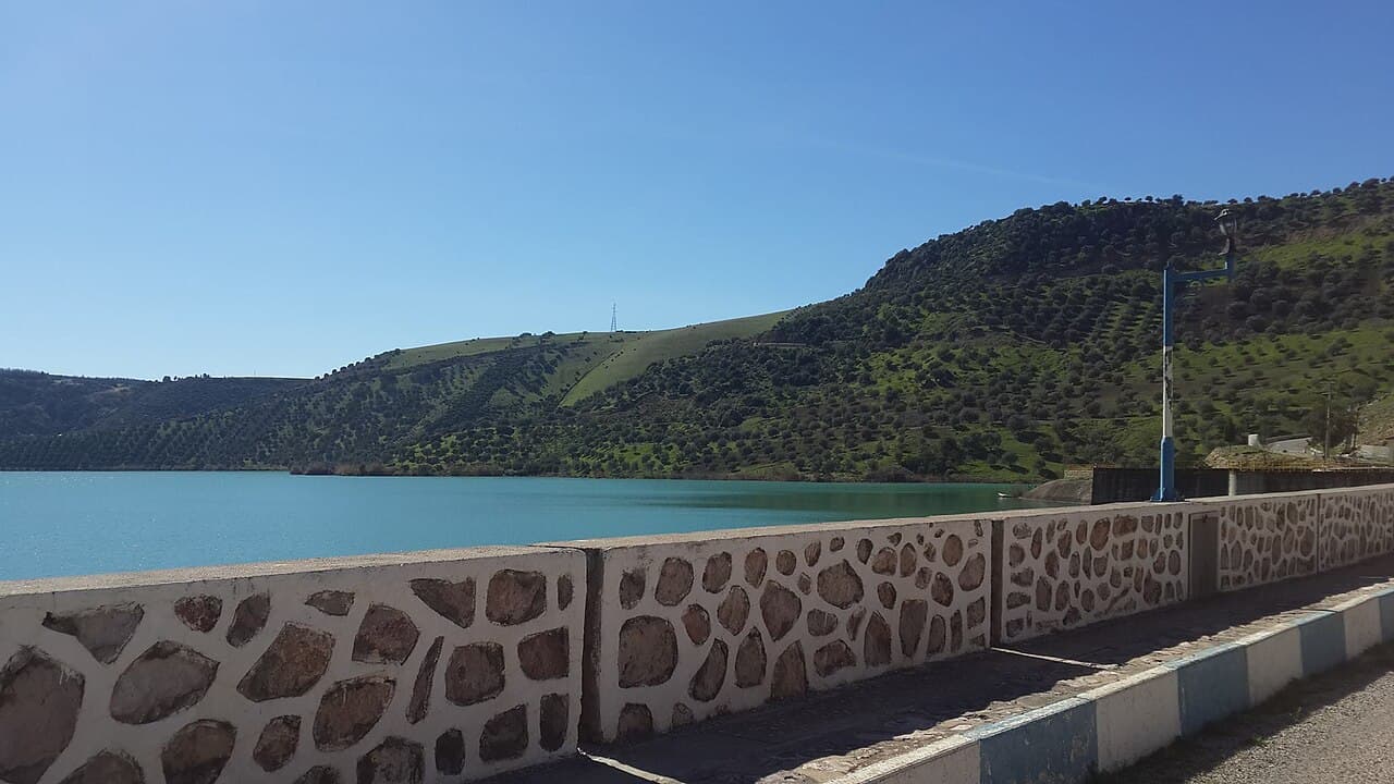 علال الفاسي