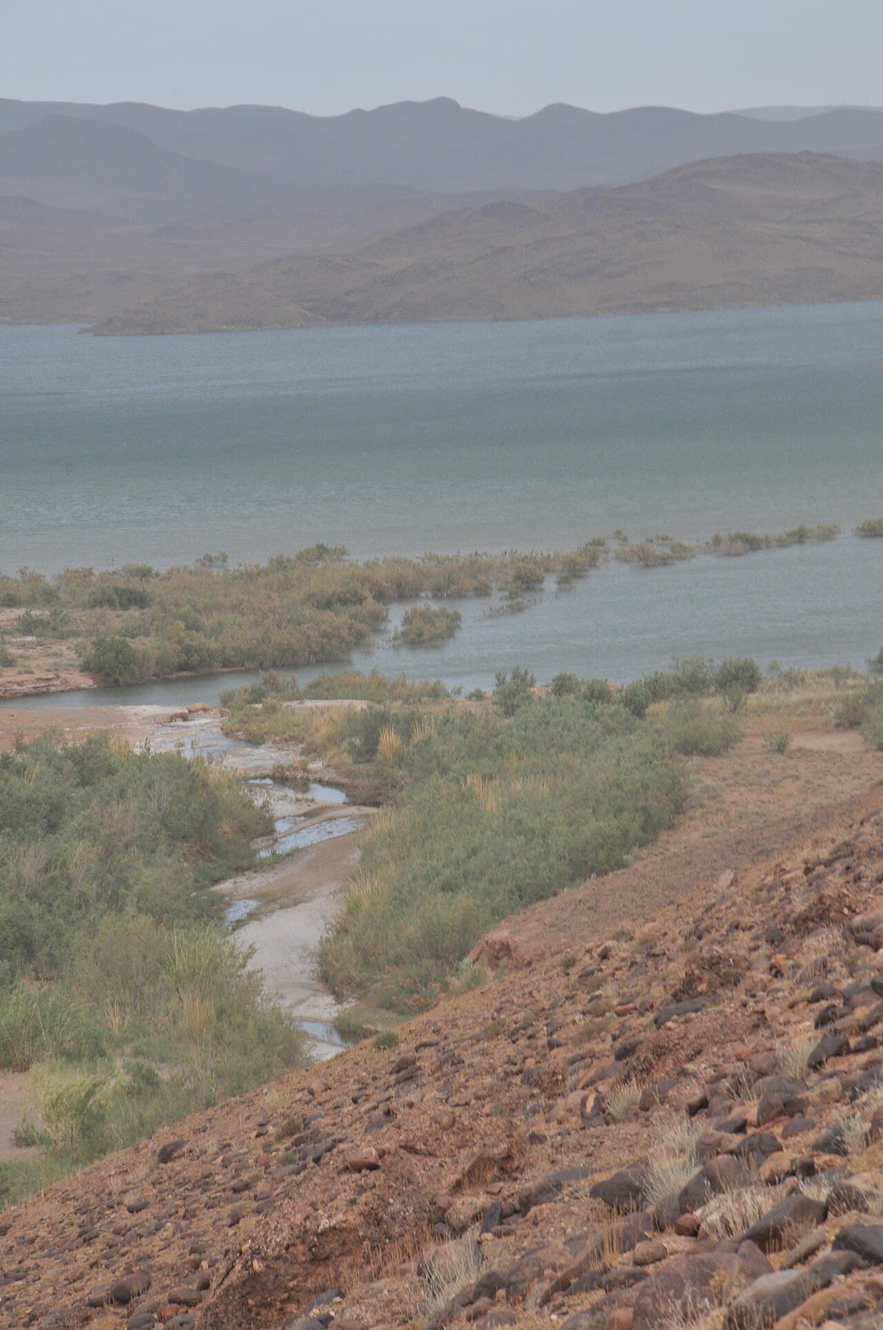 المنصور الذهبي